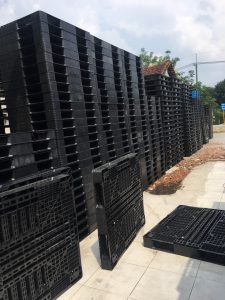 pallet-nhua-1100-1300-120mm